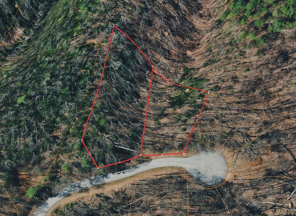 Homes for sale in Hampton, TN | 601 Escape Mountain Rd, Hampton, TN 37658 | MLS# 3152855