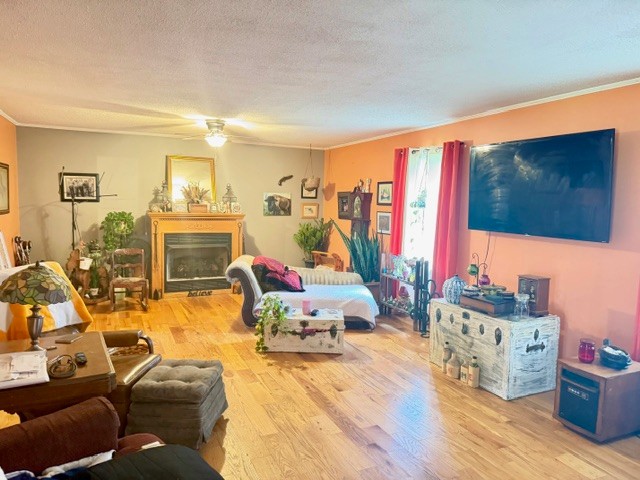 Homes for sale in Decherd, TN | 2575 Spur Rd, Decherd, TN 37324 | MLS# 3152892