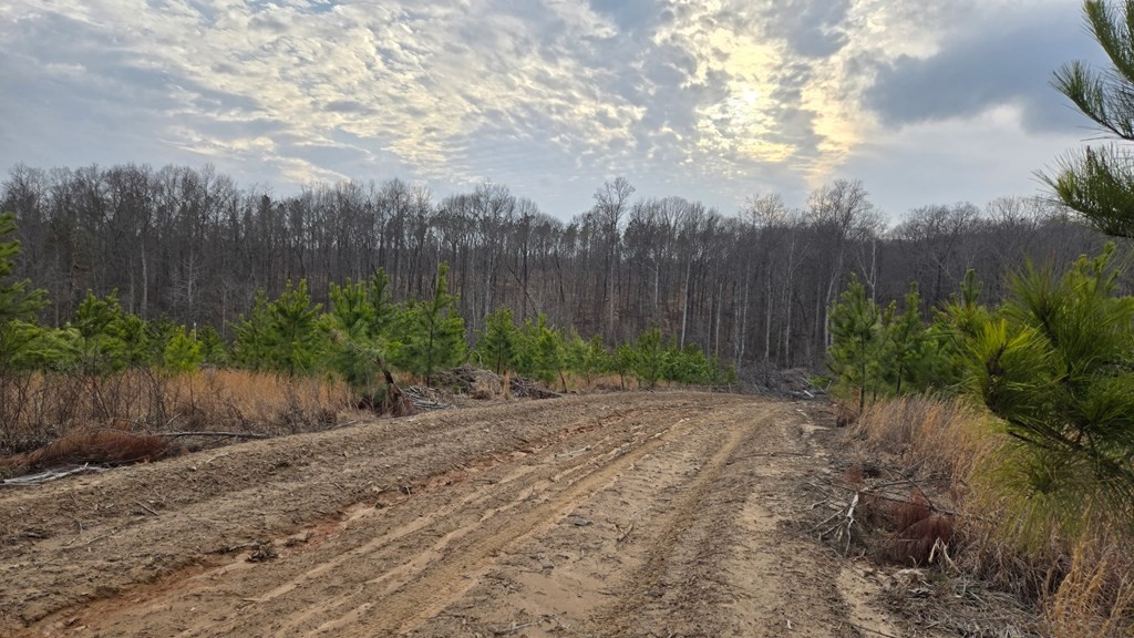 Homes for sale in Mansfield, TN | 0 Haglersville Rd, Mansfield, TN 38236 | MLS# 3153032