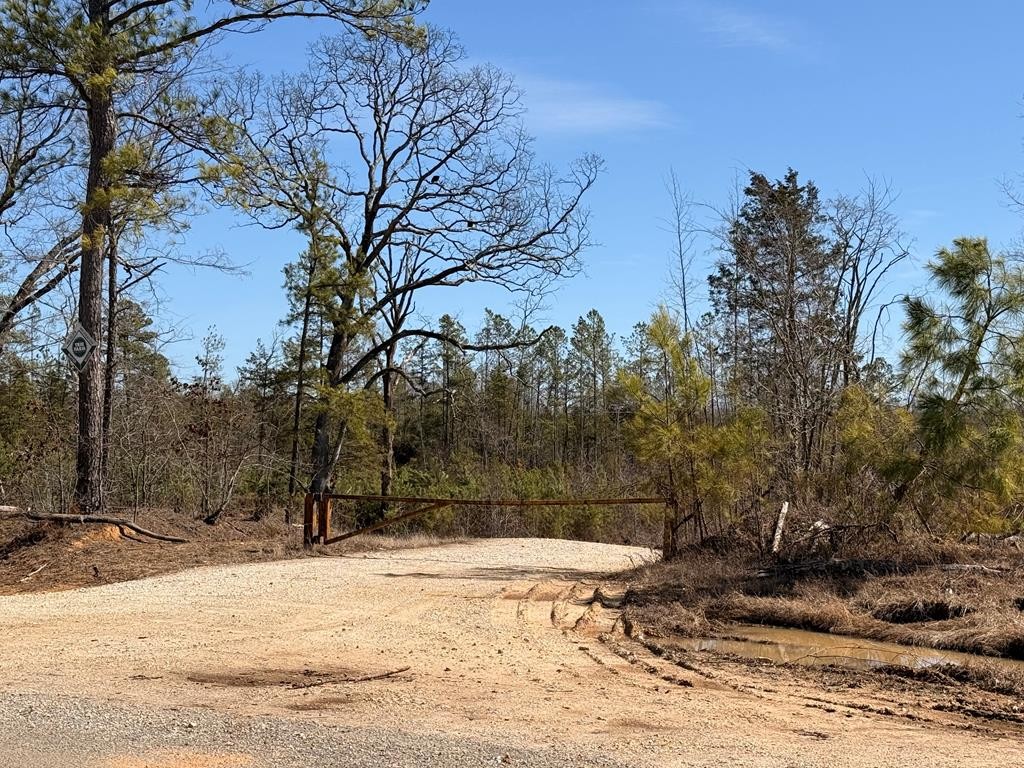 Homes for sale in Mansfield, TN | 0 Haglersville Rd, Mansfield, TN 38236 | MLS# 3153032