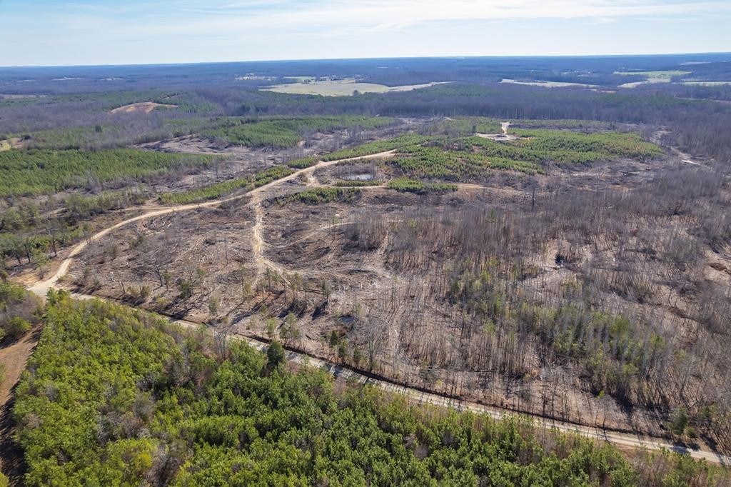 Homes for sale in Mansfield, TN | 0 Haglersville Rd, Mansfield, TN 38236 | MLS# 3153032