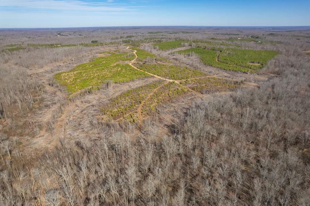 Homes for sale in Mansfield, TN | 0 Haglersville Rd, Mansfield, TN 38236 | MLS# 3153032