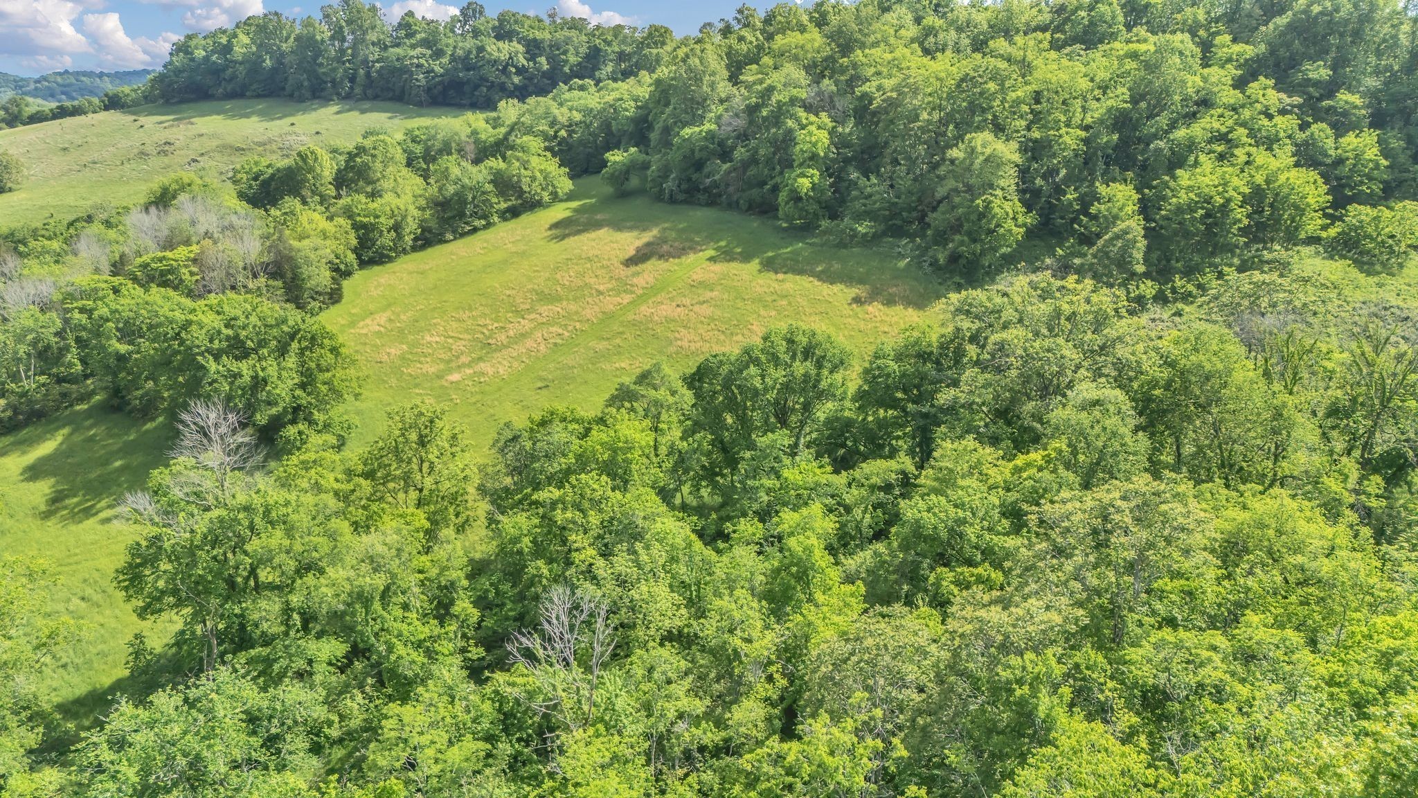 Homes for sale in Santa Fe, TN | 20 Fly Rd, Santa Fe, TN 38482 | MLS# 3154877