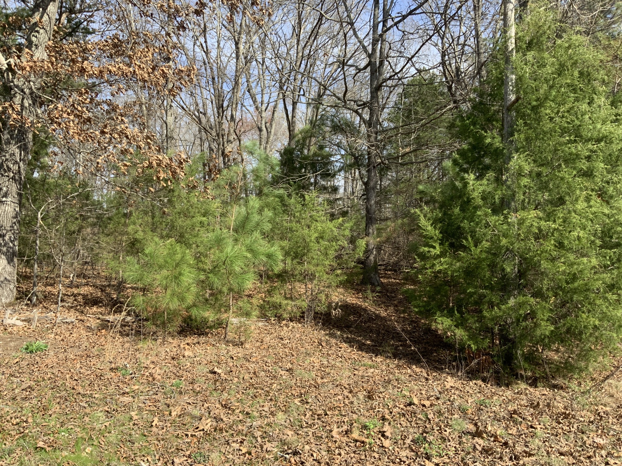 Homes for sale in Lexington, TN | 0 Brittany Lane, Lexington, TN 38351 | MLS# 3152995