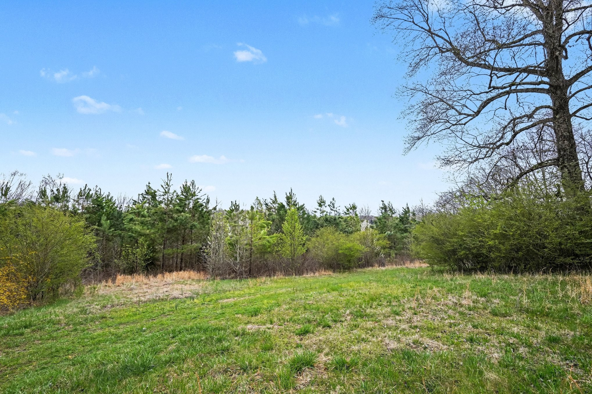 Homes for sale in Ashland City, TN | 1079 Harristown Rd, Ashland City, TN 37015 | MLS# 3154785