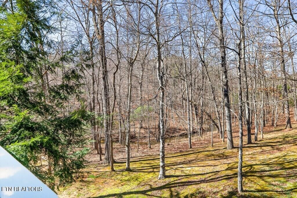 Homes for sale in Spencer, TN | 499 Hemlock Lane, Spencer, TN 38585 | MLS# 3152973