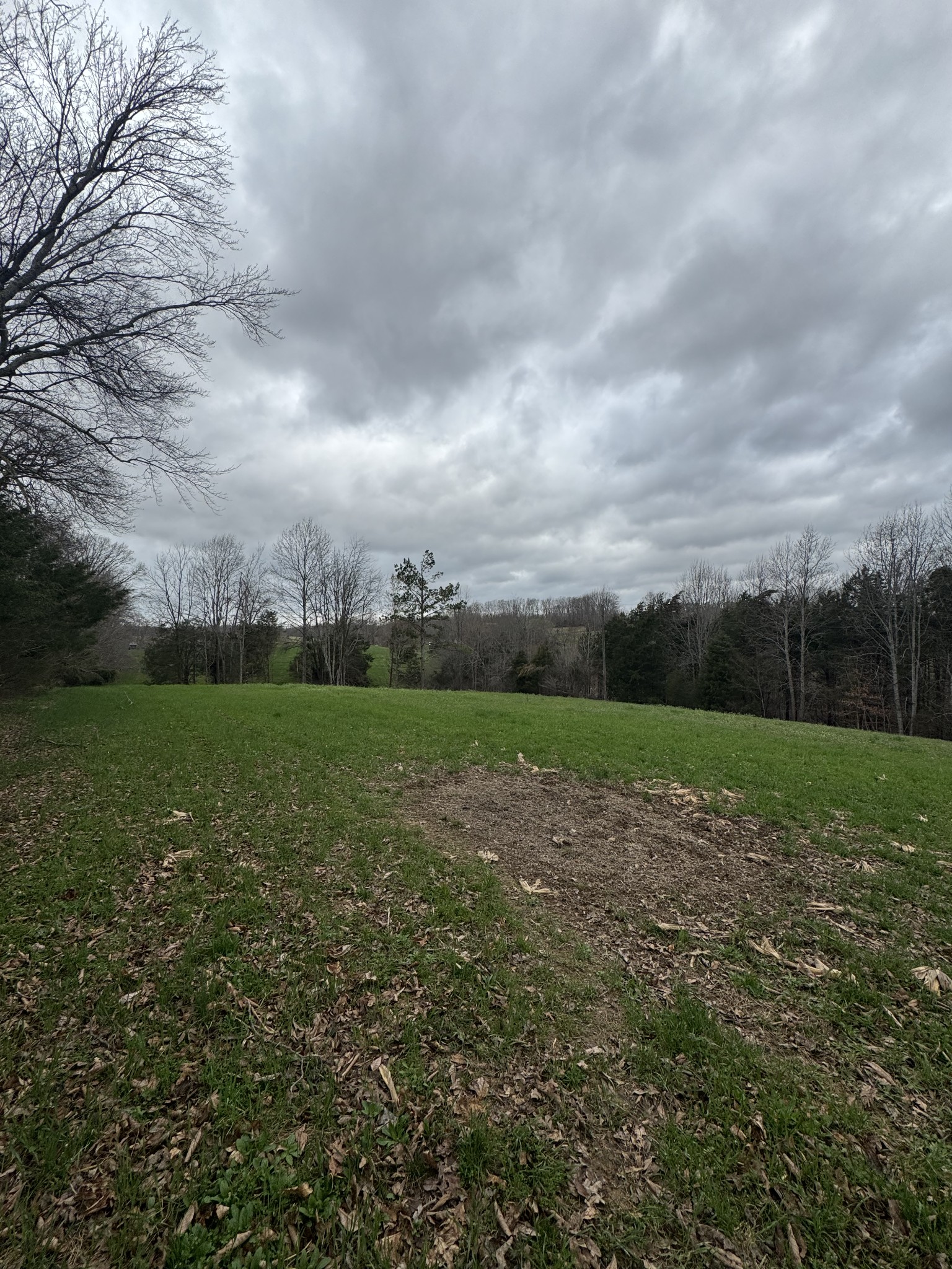 Homes for sale in Red Boiling Springs, TN | 0 Bakerton Rd, Red Boiling Springs, TN 37150 | MLS# 3152982