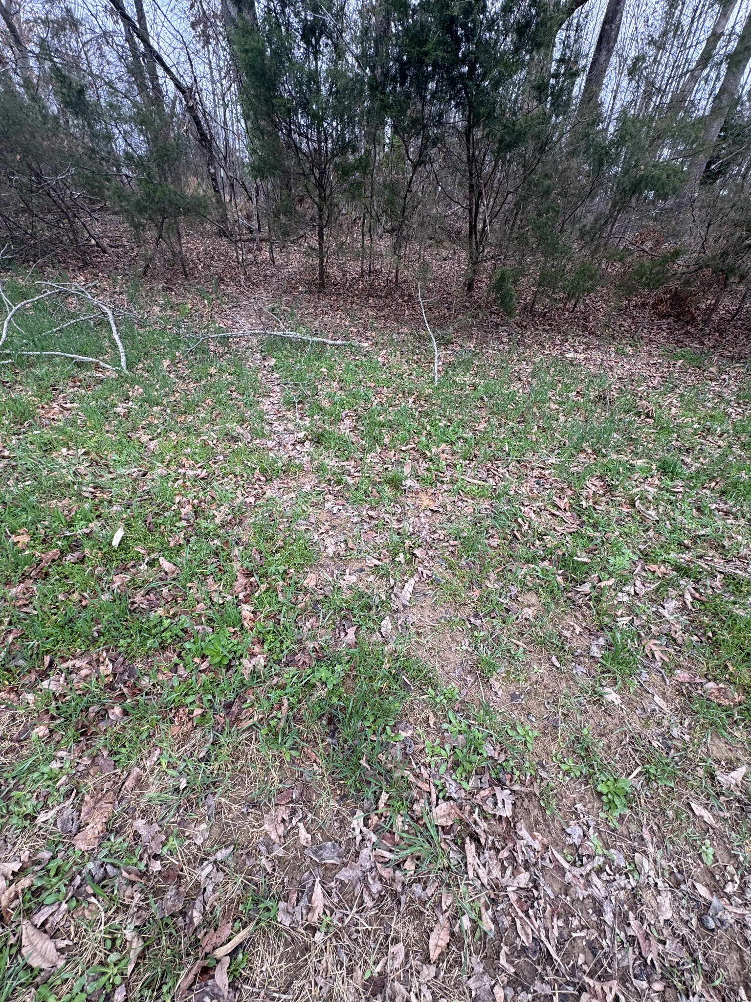 Homes for sale in Red Boiling Springs, TN | 0 Bakerton Rd, Red Boiling Springs, TN 37150 | MLS# 3152982