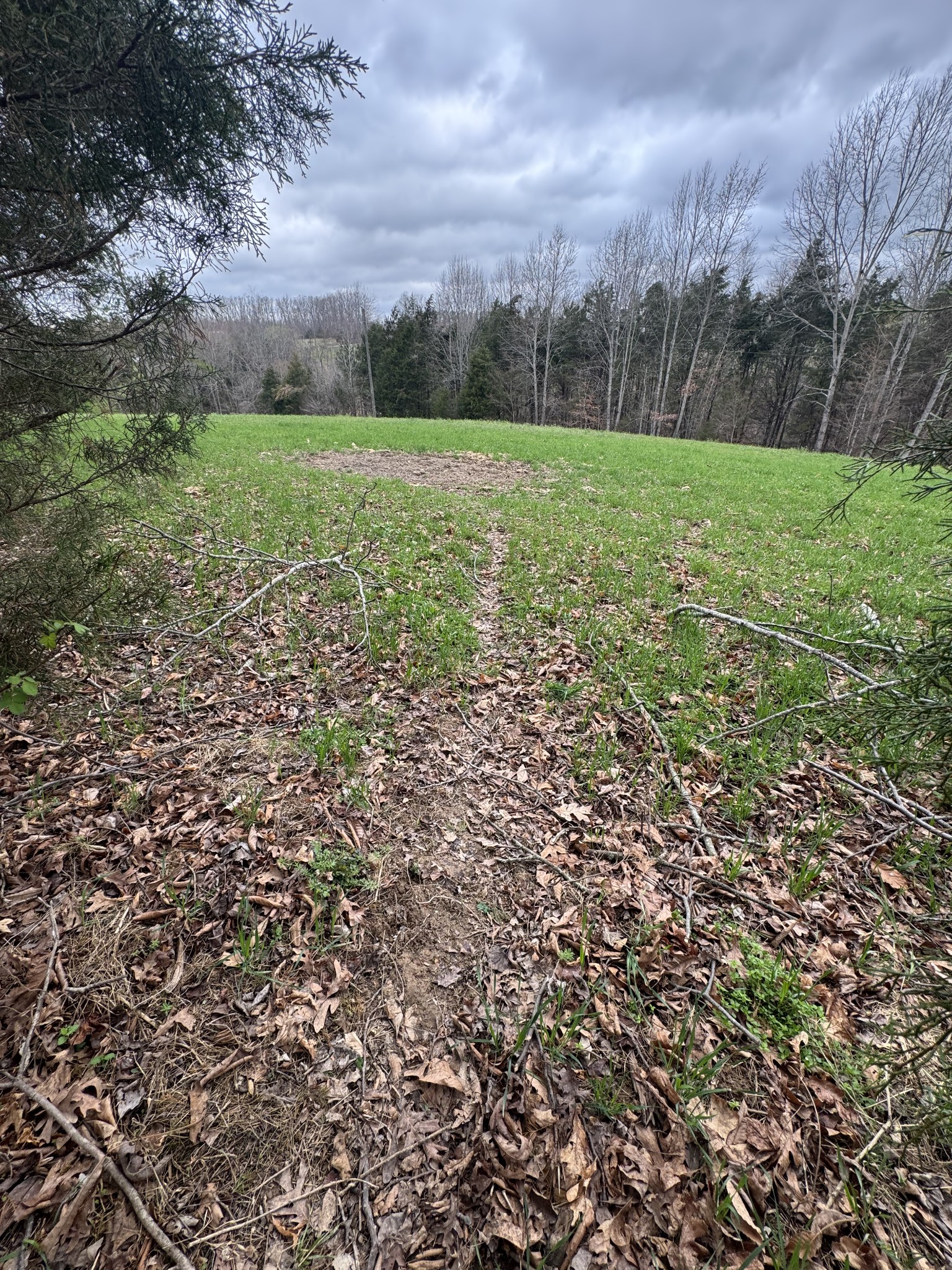 Homes for sale in Red Boiling Springs, TN | 0 Bakerton Rd, Red Boiling Springs, TN 37150 | MLS# 3152982