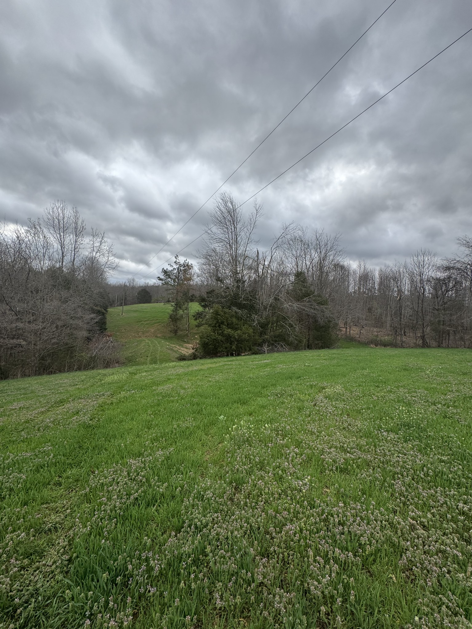 Homes for sale in Red Boiling Springs, TN | 0 Bakerton Rd, Red Boiling Springs, TN 37150 | MLS# 3152982