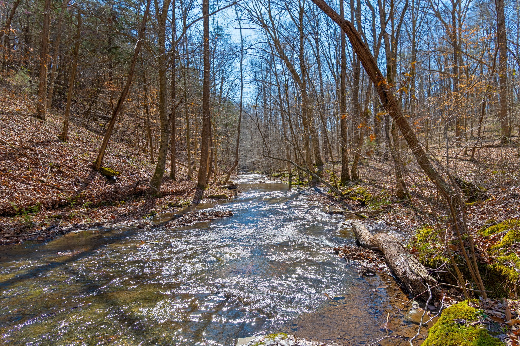 Homes for sale in Charlotte, TN | 801 Collier Bend Road, Charlotte, TN 37036 | MLS# 3155379