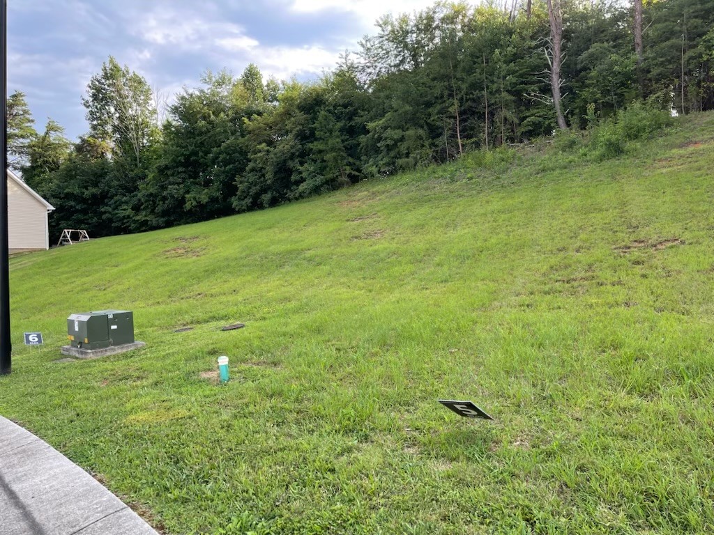 Homes for sale in Bristol, TN | 150 Brighton Pl, Bristol, TN 37620 | MLS# 3153158