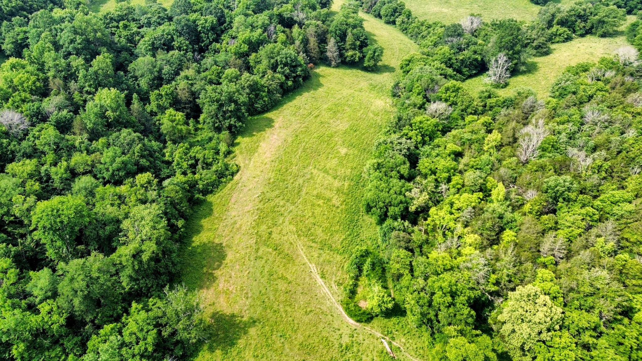 Homes for sale in Pulaski, TN | 0 Ables Ln, Pulaski, TN 38478 | MLS# 3153054