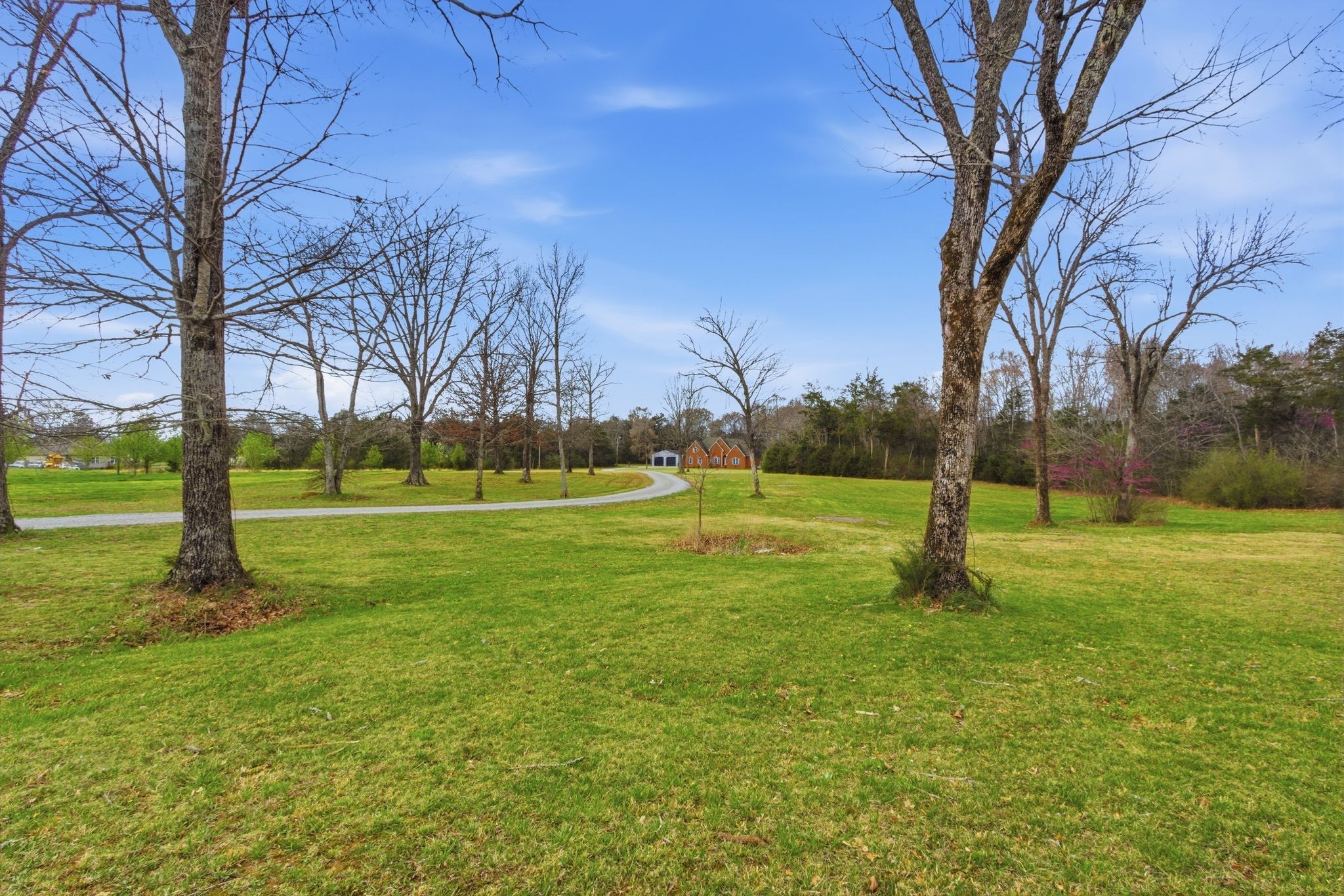 Homes for sale in Chapel Hill, TN | 2320 Snake Town Rd, Chapel Hill, TN 37034 | MLS# 3154777