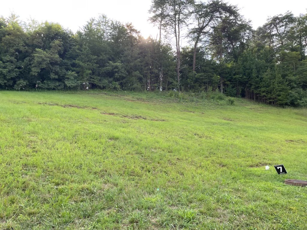 Homes for sale in Bristol, TN | 154 Brighton Pl, Bristol, TN 37620 | MLS# 3153157