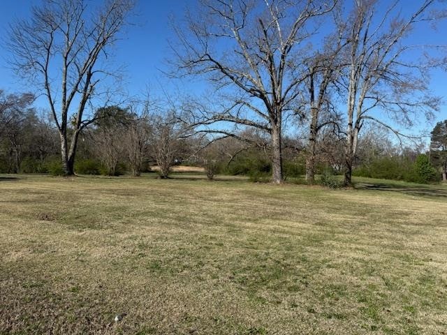 Homes for sale in Savannah, TN | 1019 Pickwick St, Savannah, TN 38372 | MLS# 3153039