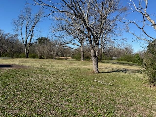 Homes for sale in Savannah, TN | 1019 Pickwick St, Savannah, TN 38372 | MLS# 3153039