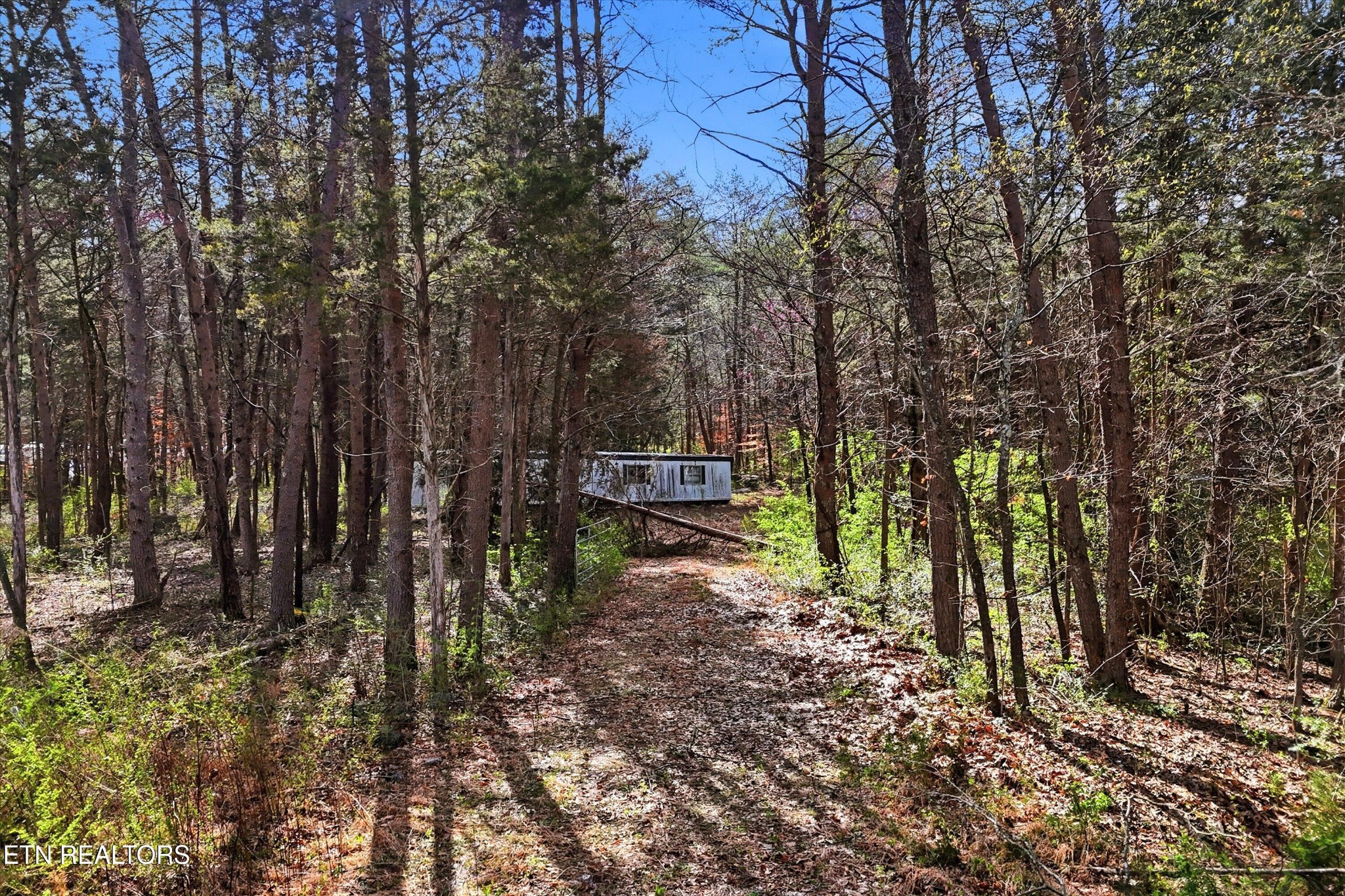 Homes for sale in Heiskell, TN | 842 E Raccoon Valley Dr, Heiskell, TN 37754 | MLS# 3153080