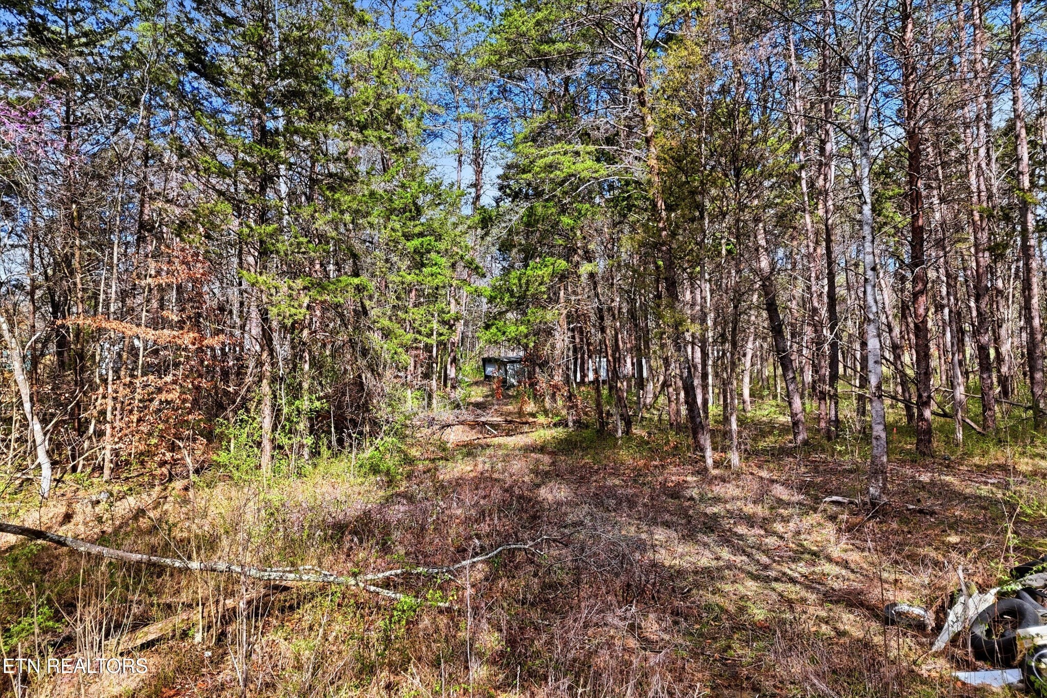 Homes for sale in Heiskell, TN | 842 E Raccoon Valley Dr, Heiskell, TN 37754 | MLS# 3153080