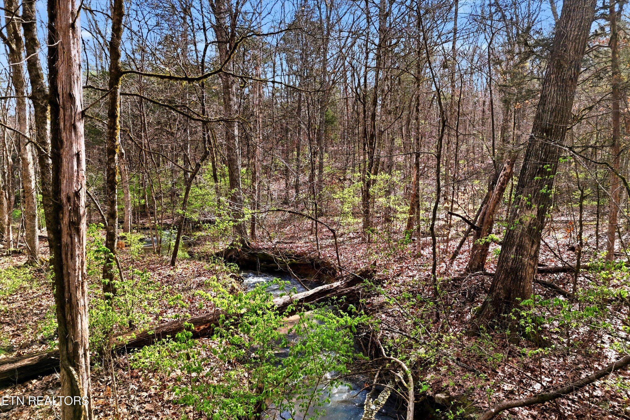 Homes for sale in Heiskell, TN | 842 E Raccoon Valley Dr, Heiskell, TN 37754 | MLS# 3153080