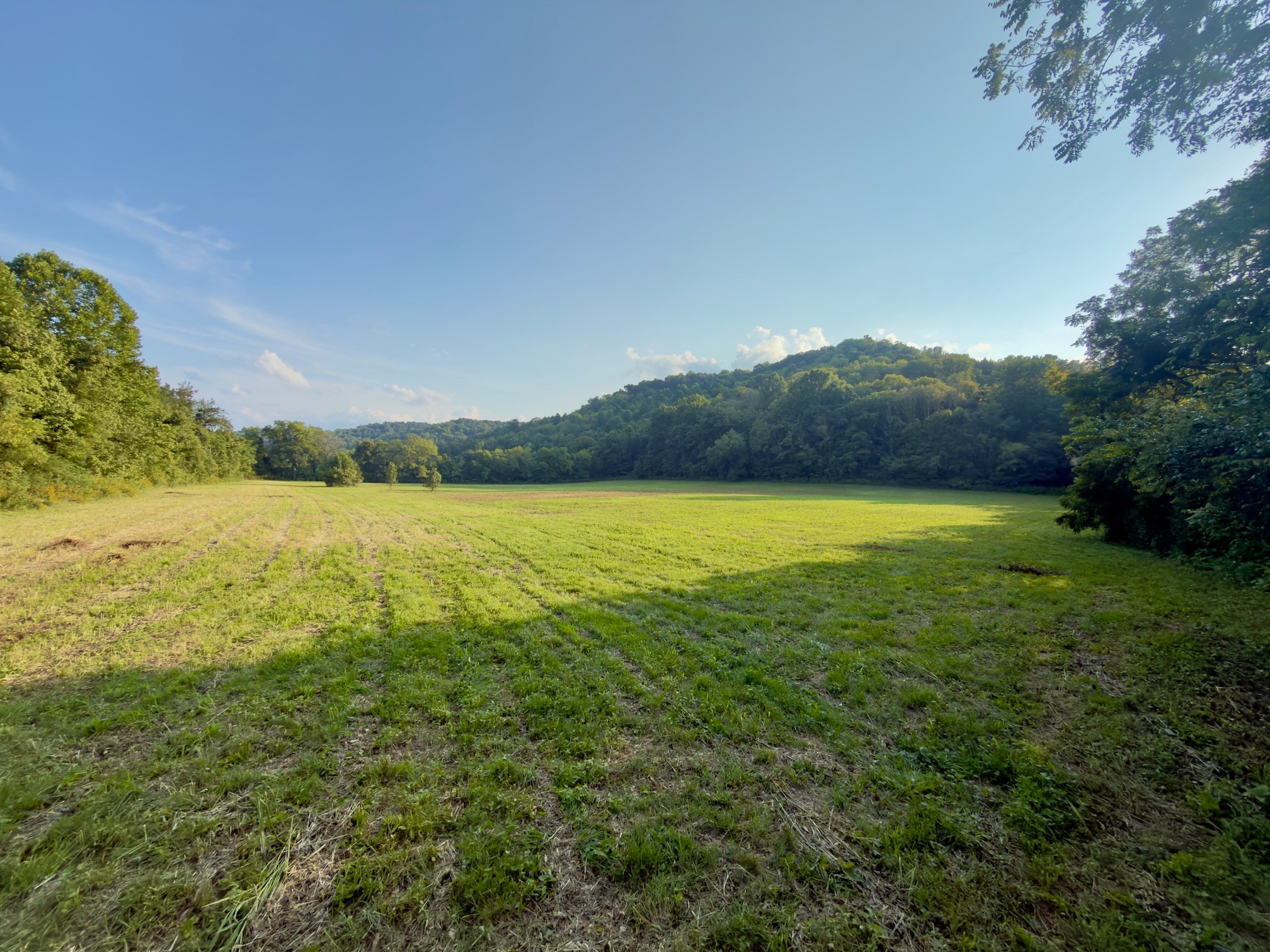 3rd image of 3780 Hurricane Creek Rd, Woodbury, TN 37190 | MLS# 3155229