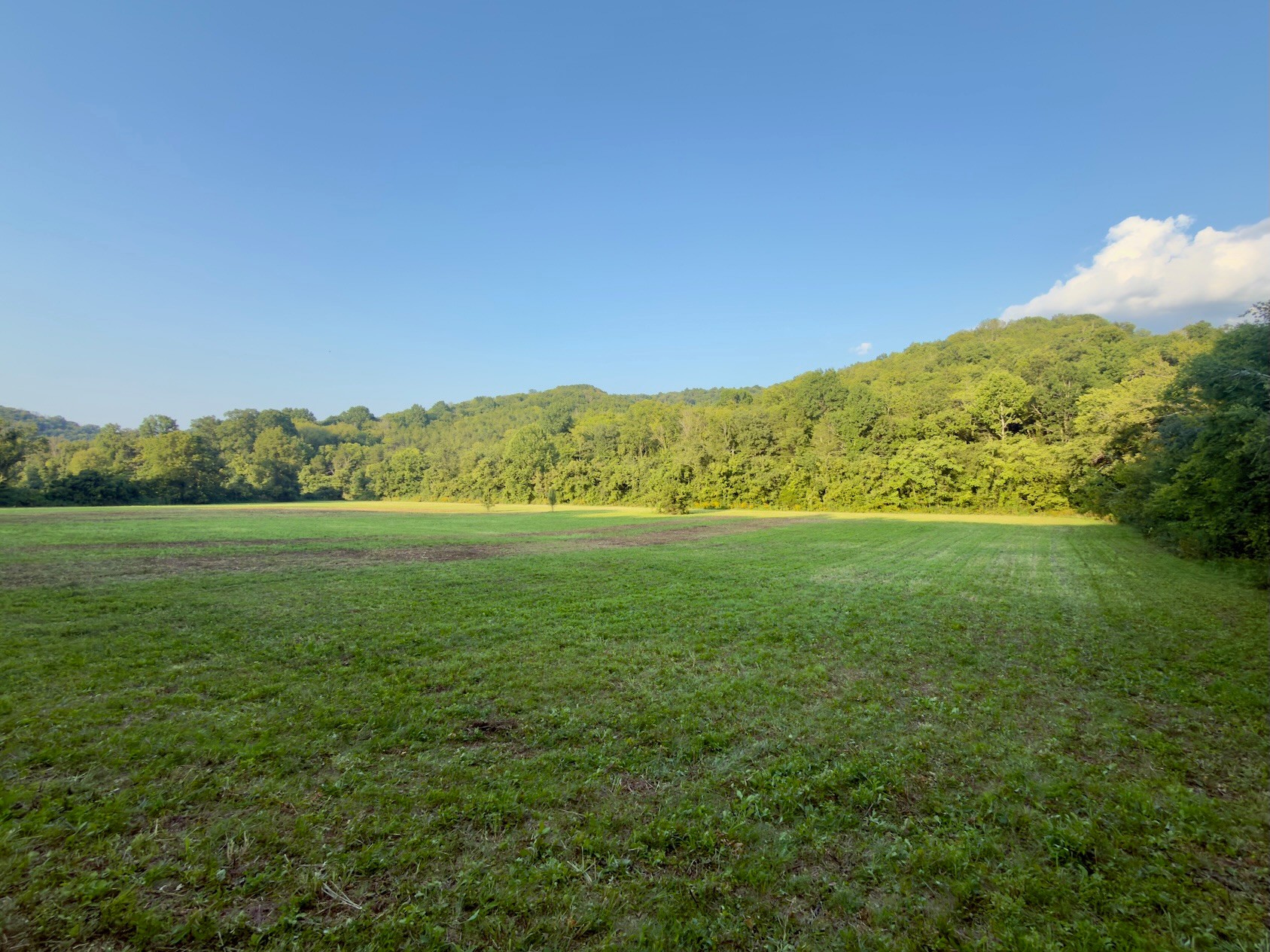 2nd image of 3780 Hurricane Creek Rd, Woodbury, TN 37190 | MLS# 3155229