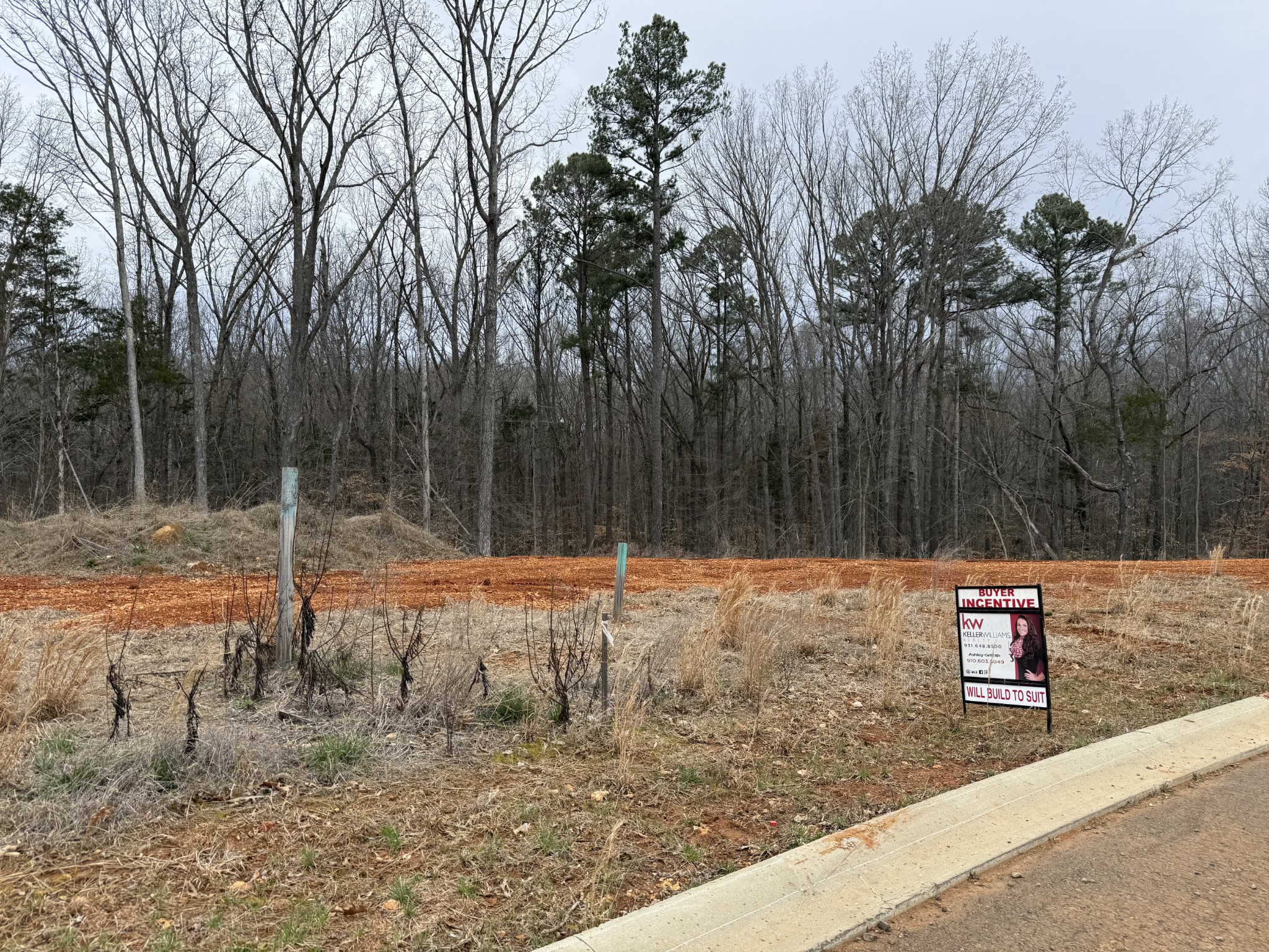 Homes for sale in Clarksville, TN | 0 Liberty Park, Clarksville, TN 37042 | MLS# 3153152