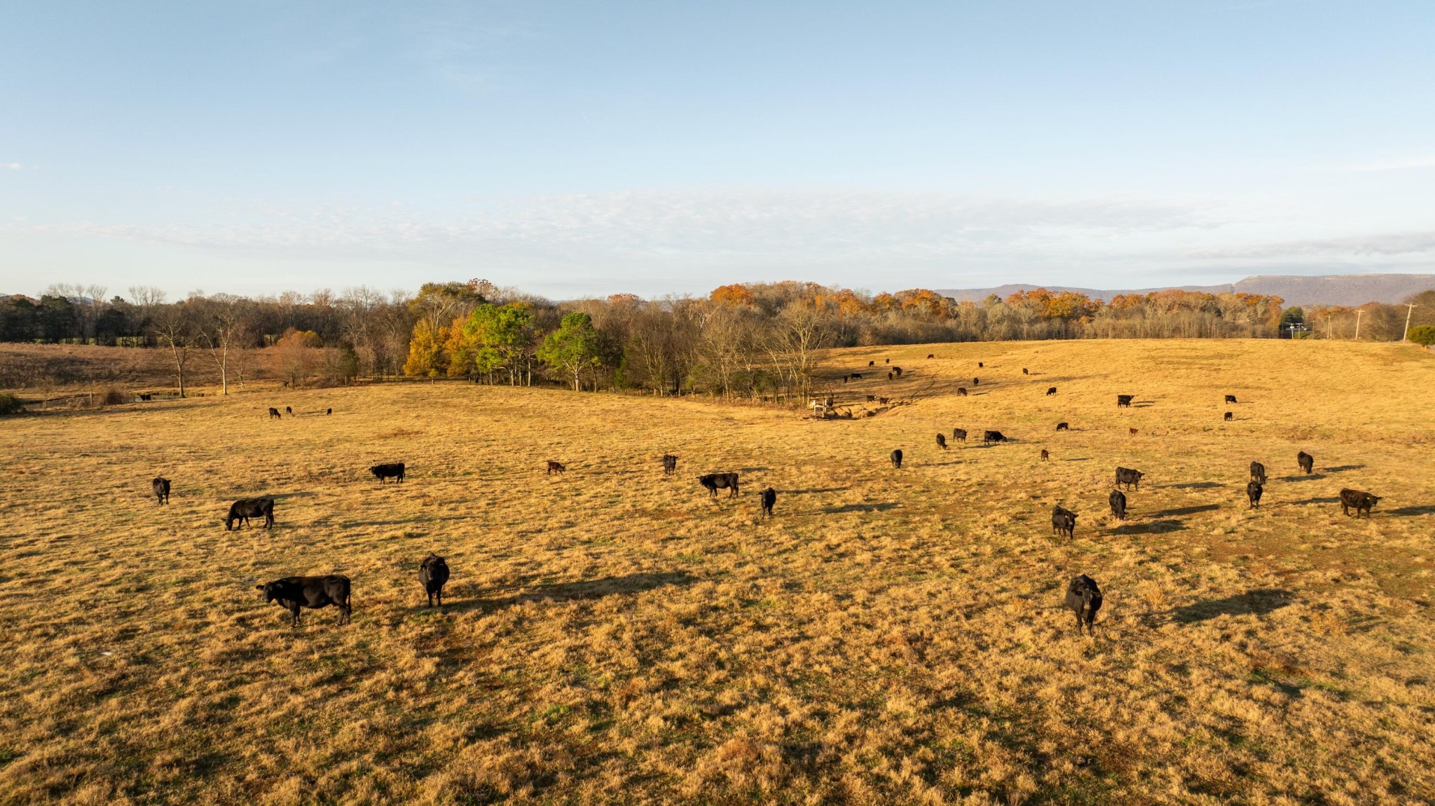 Homes for sale in Chickamauga, GA | 0 Lee Clarkson Road, Chickamauga, GA 30707 | MLS# 3153251