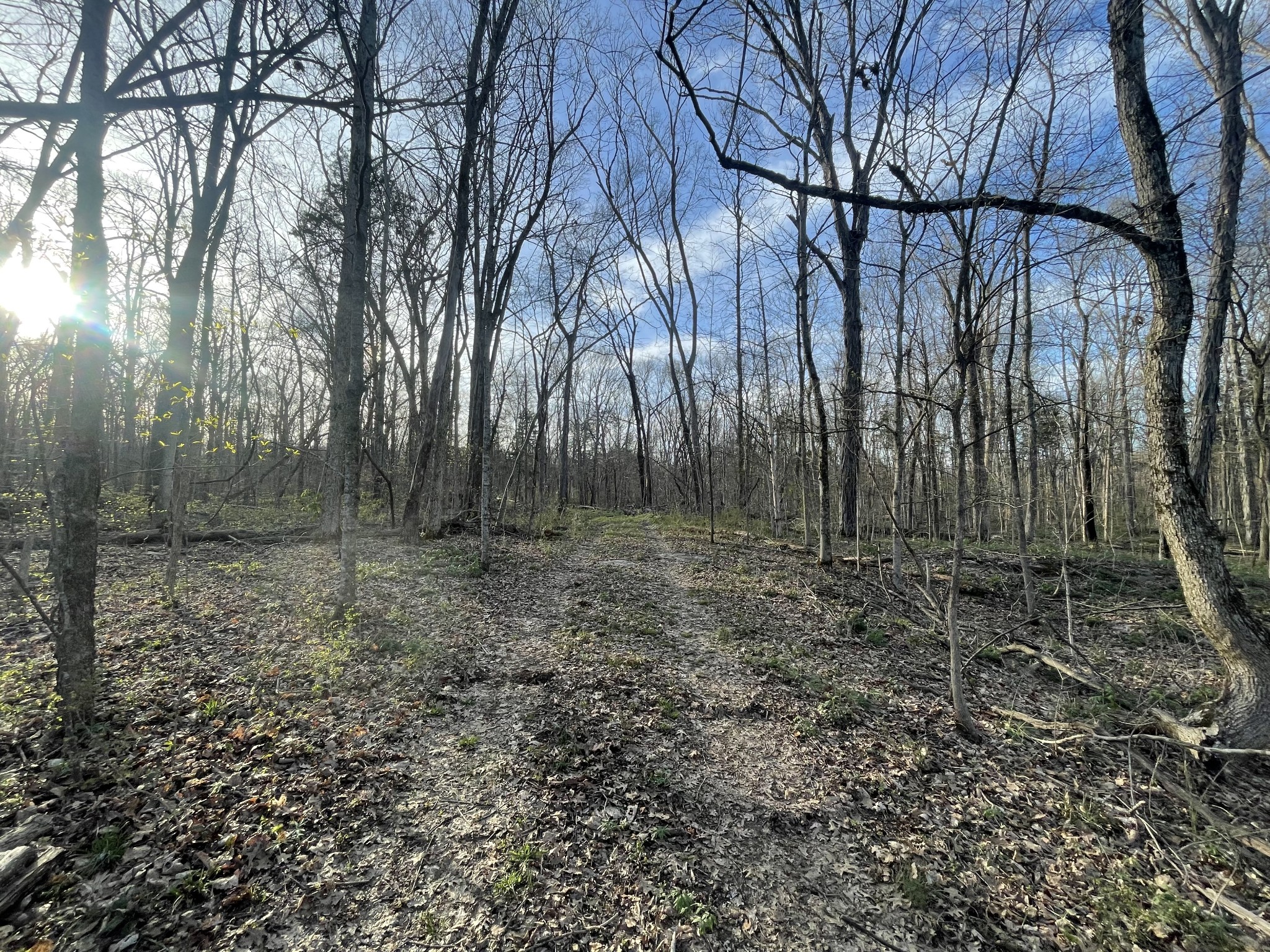 Homes for sale in Christiana, TN | 0 Christiana Fosterville Rd, Christiana, TN 37037 | MLS# 3154849