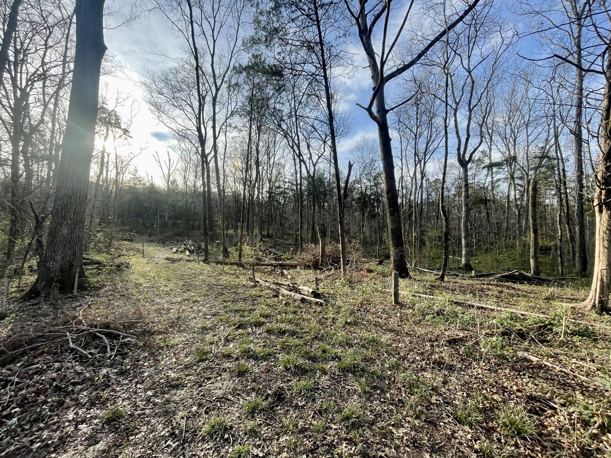 Homes for sale in Christiana, TN | 0 Christiana Fosterville Rd, Christiana, TN 37037 | MLS# 3154849