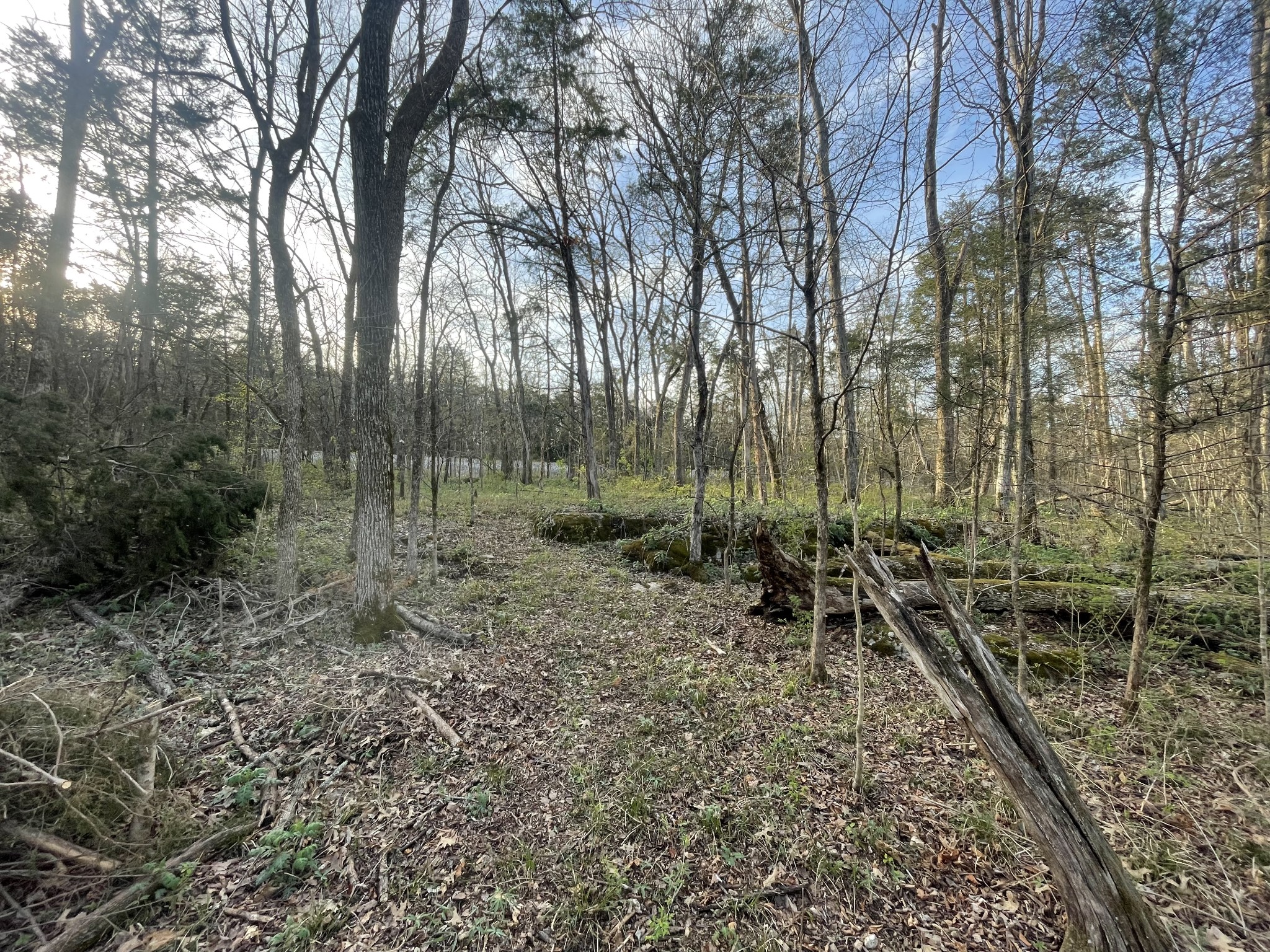 Homes for sale in Christiana, TN | 0 Christiana Fosterville Rd, Christiana, TN 37037 | MLS# 3154849