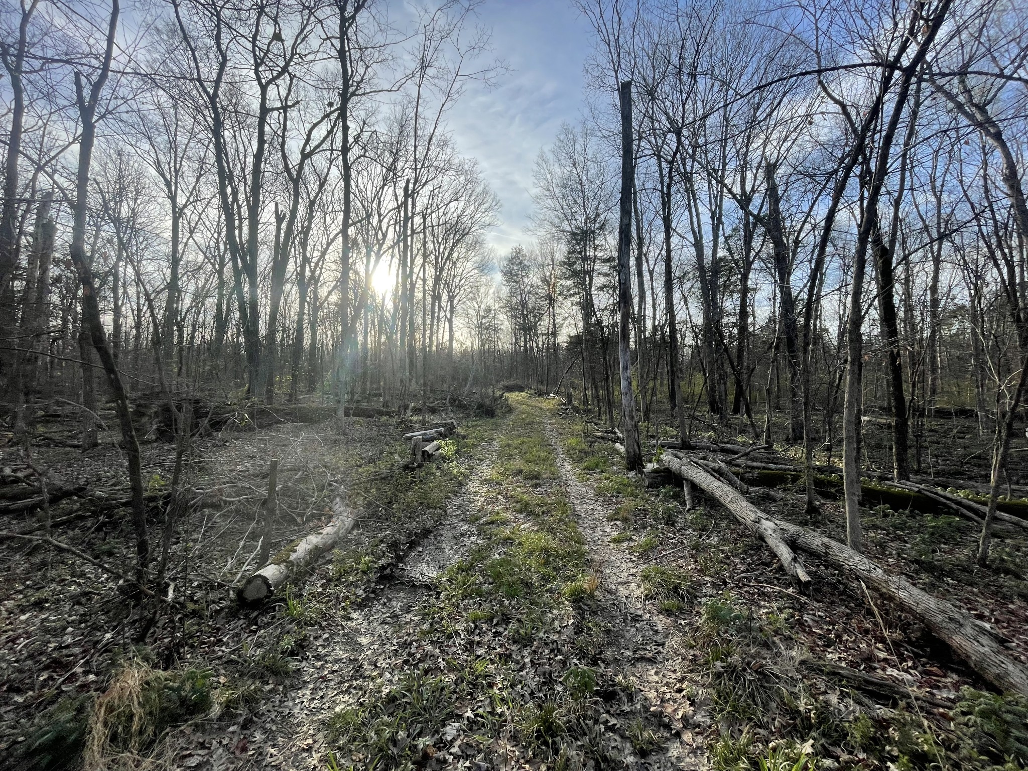 Homes for sale in Christiana, TN | 0 Christiana Fosterville Rd, Christiana, TN 37037 | MLS# 3154849