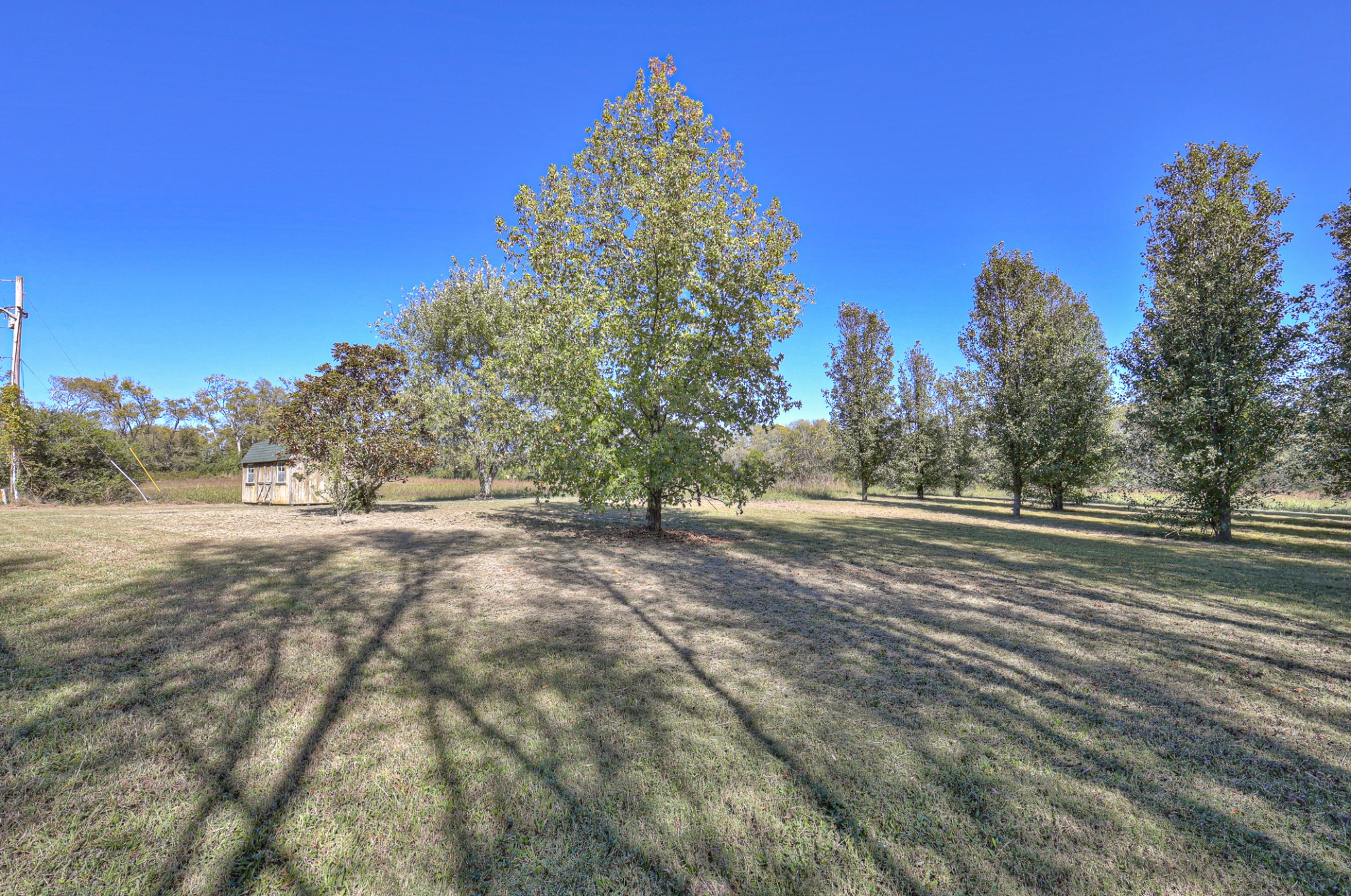 Homes for sale in Bethpage, TN | 1064 Lauderdale Ln, Bethpage, TN 37022 | MLS# 3154923