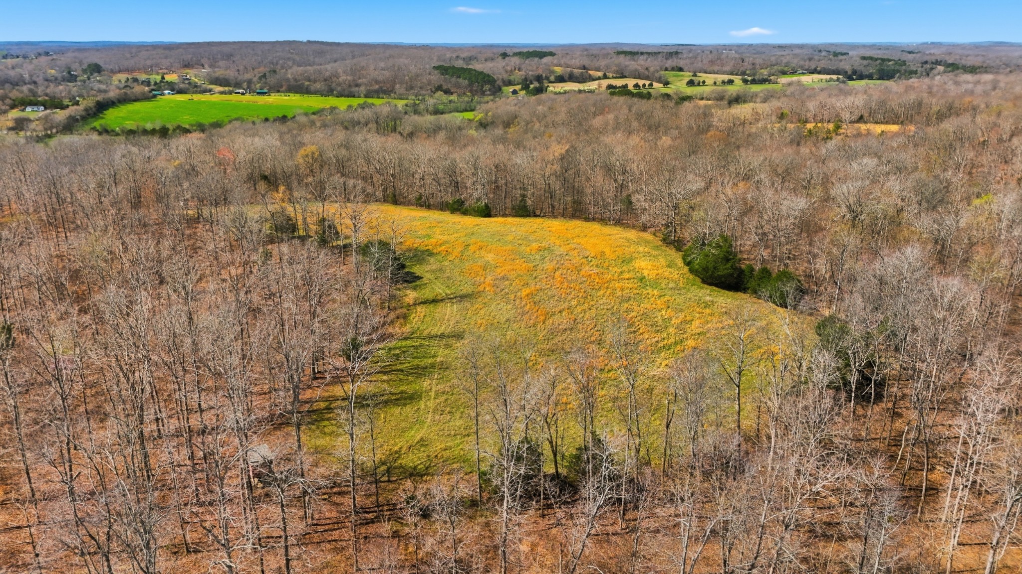 Homes for sale in Cumberland City, TN | 0 Herman Adams Road, Cumberland City, TN 37050 | MLS# 3155190