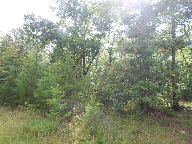 14th image of 0 4th Dr, Altamont, TN 37301 | MLS# 3167896