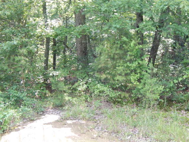 3rd image of 0 4Th Dr, Altamont, TN 37301 | MLS# 3167896