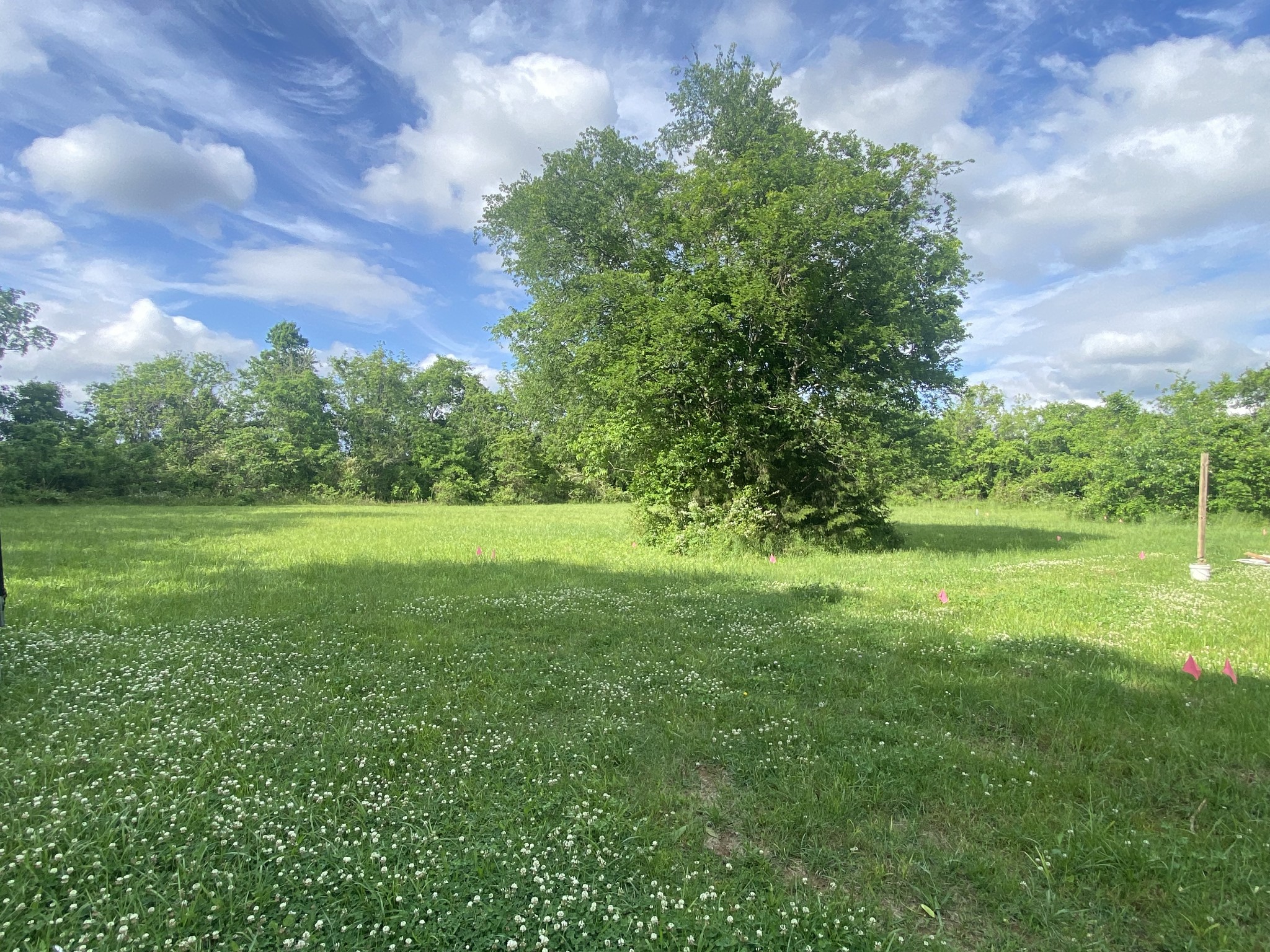 Homes for sale in Lewisburg, TN | 0 Hwy 40, Lewisburg, TN 37091 | MLS# 3170389