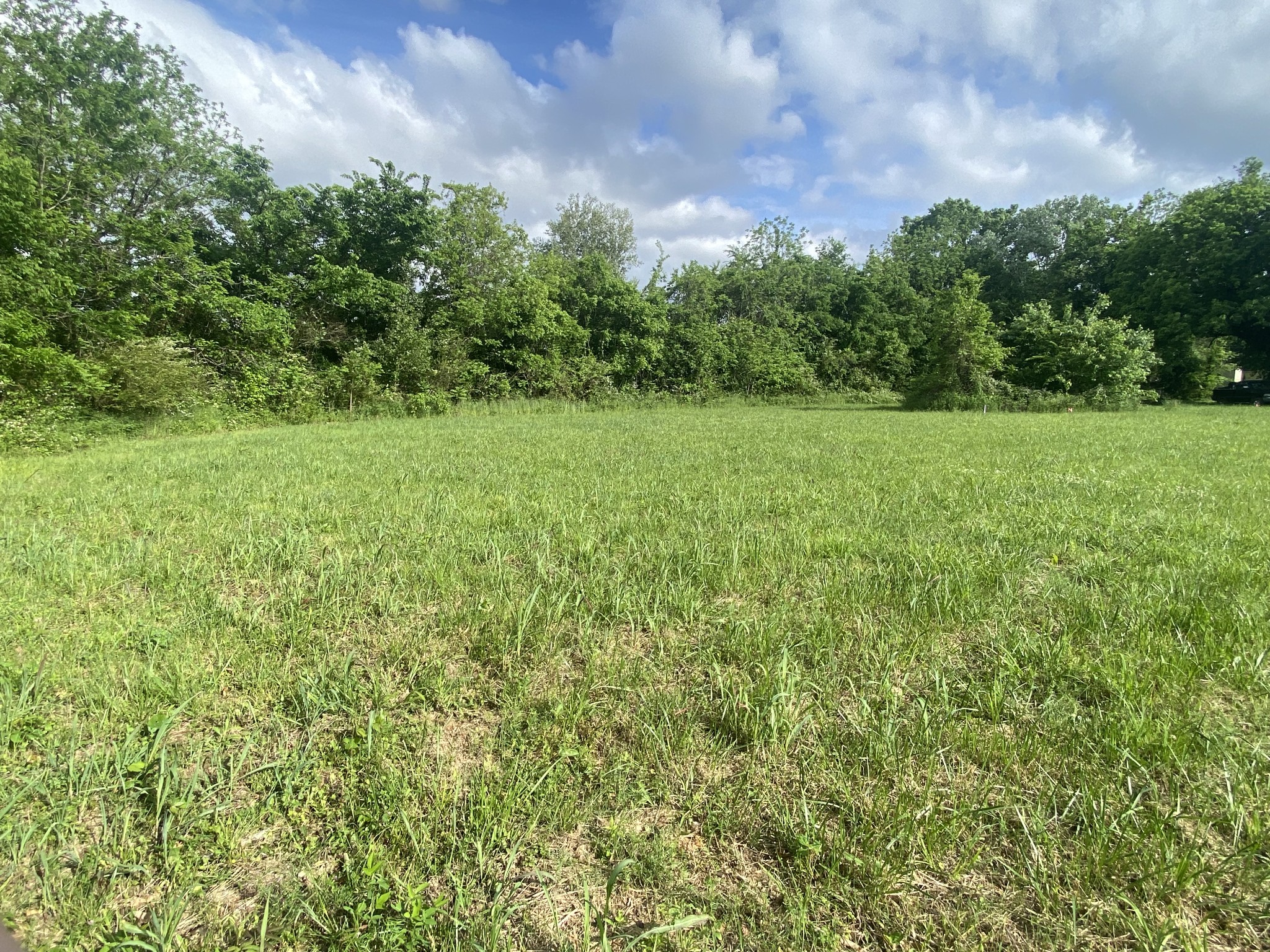 Homes for sale in Lewisburg, TN | 0 Hwy 40, Lewisburg, TN 37091 | MLS# 3170389