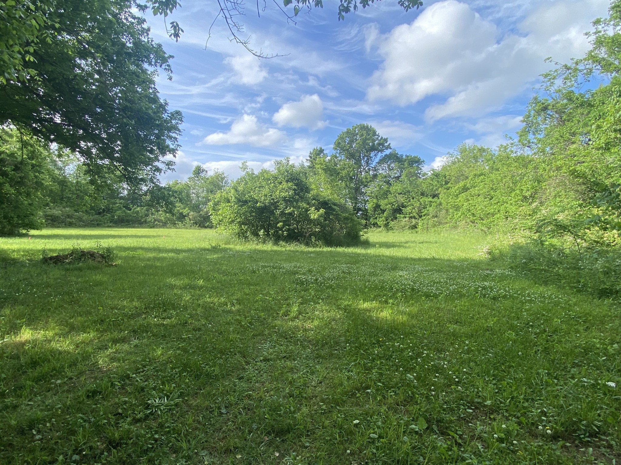 Homes for sale in Lewisburg, TN | 0 Hwy 40, Lewisburg, TN 37091 | MLS# 3170389