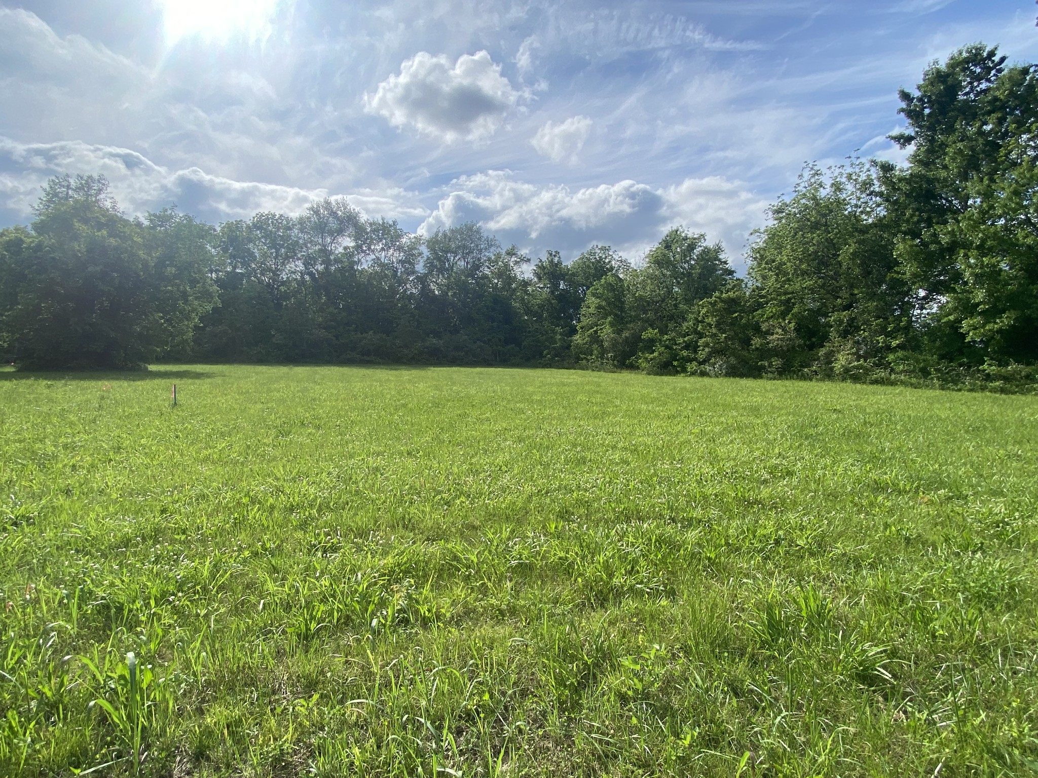Homes for sale in Lewisburg, TN | 0 Hwy 40, Lewisburg, TN 37091 | MLS# 3170389