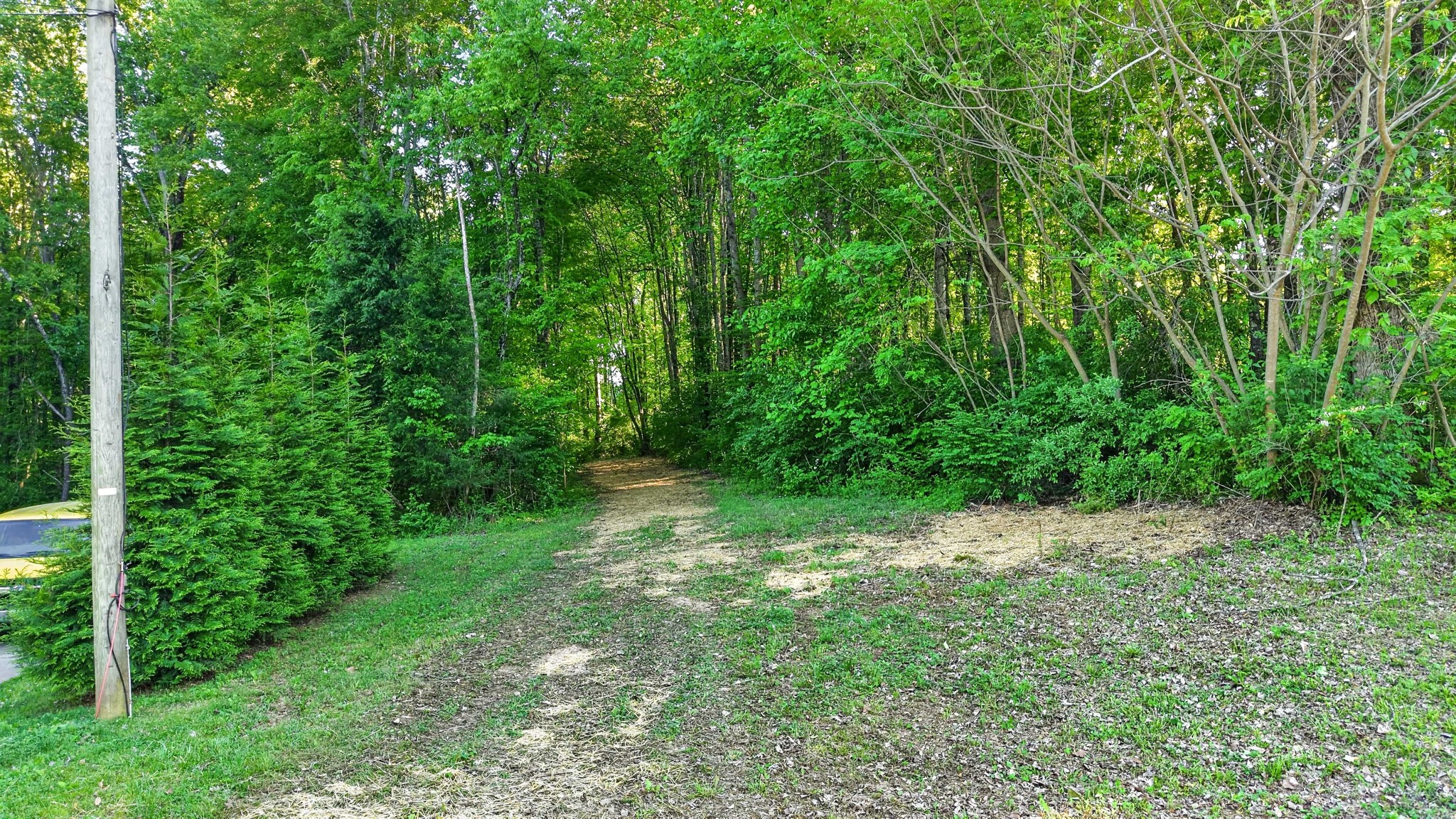 18th image of 212 Juanita Dr, Springfield, TN 37172 | MLS# 3178397