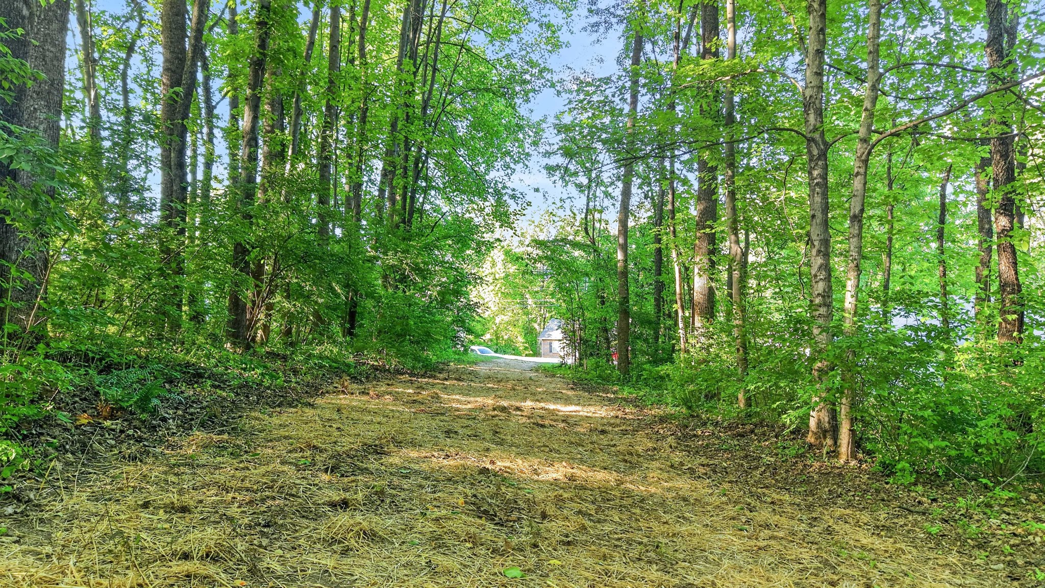 1st image of 212 Juanita Dr, Springfield, TN 37172 | MLS# 3178397