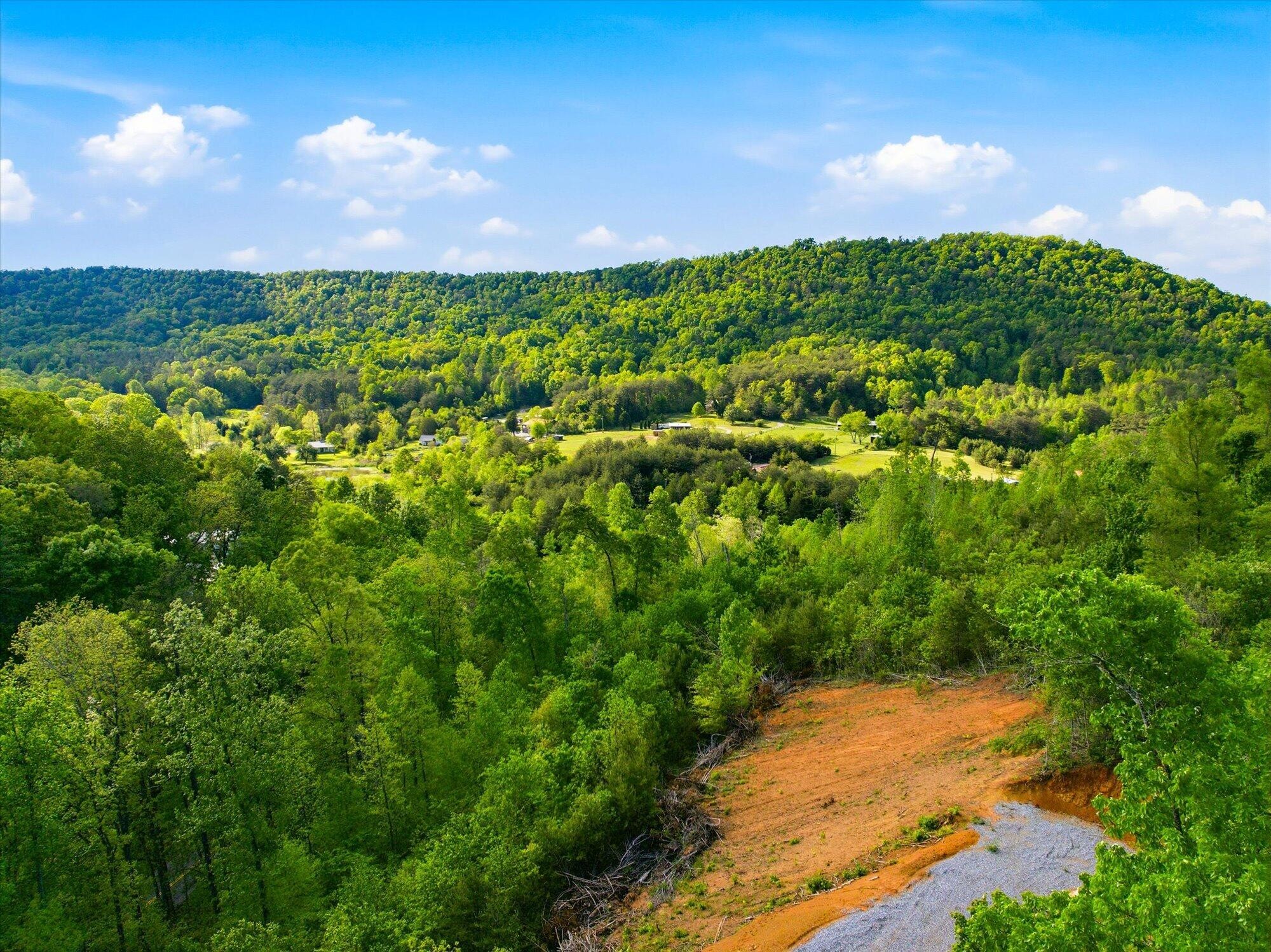 Homes for sale in Tellico Plains, TN | 1776 Fairview Road, Tellico Plains, TN 37385 | MLS# 3179083