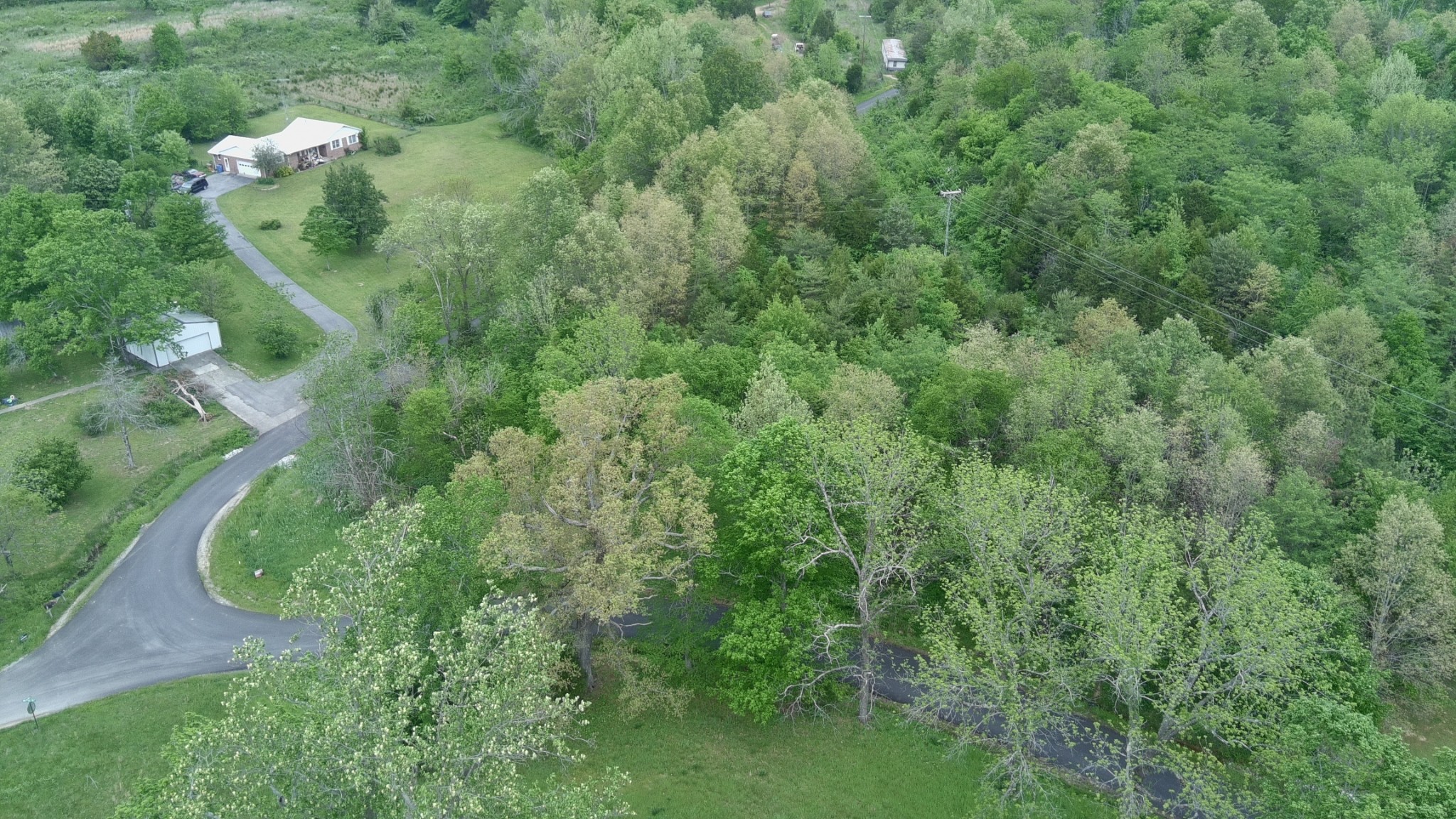 Homes for sale in Princeton, KY | 0 Lewistown Church Road, Princeton, KY 42445 | MLS# 3179519