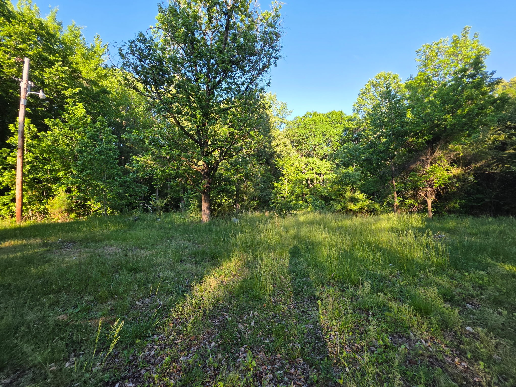 Homes for sale in Winchester, TN | 5468 Old Tullahoma Rd, Winchester, TN 37398 | MLS# 3184476