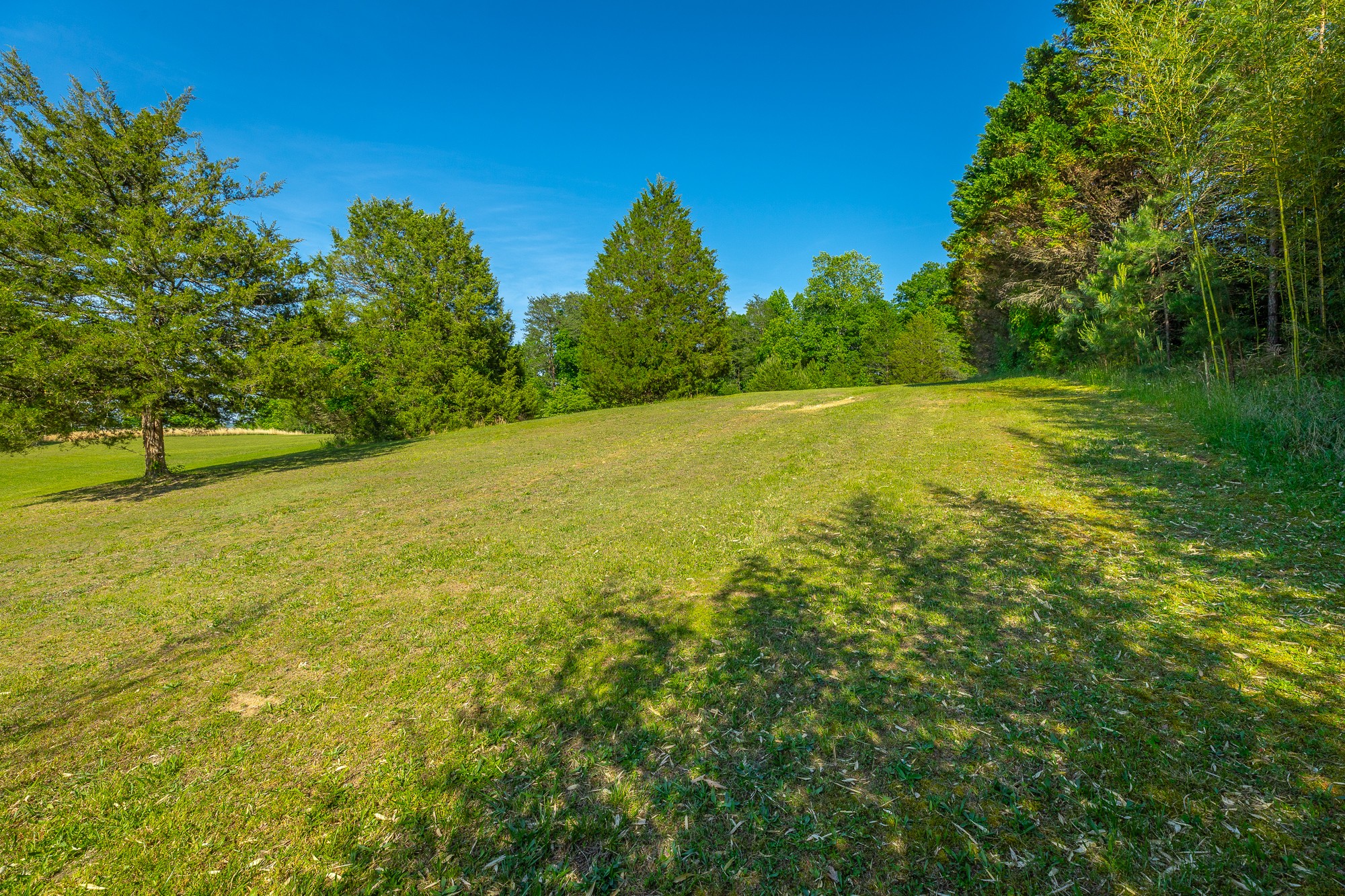 Homes for sale in Bakewell, TN | 16612 N Star Cir, Bakewell, TN 37373 | MLS# 3181038