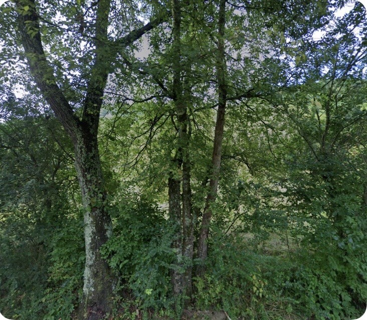 Homes for sale in Whites Creek, TN | 5034 Seymour Hollow Rd, Whites Creek, TN 37189 | MLS# 3223082