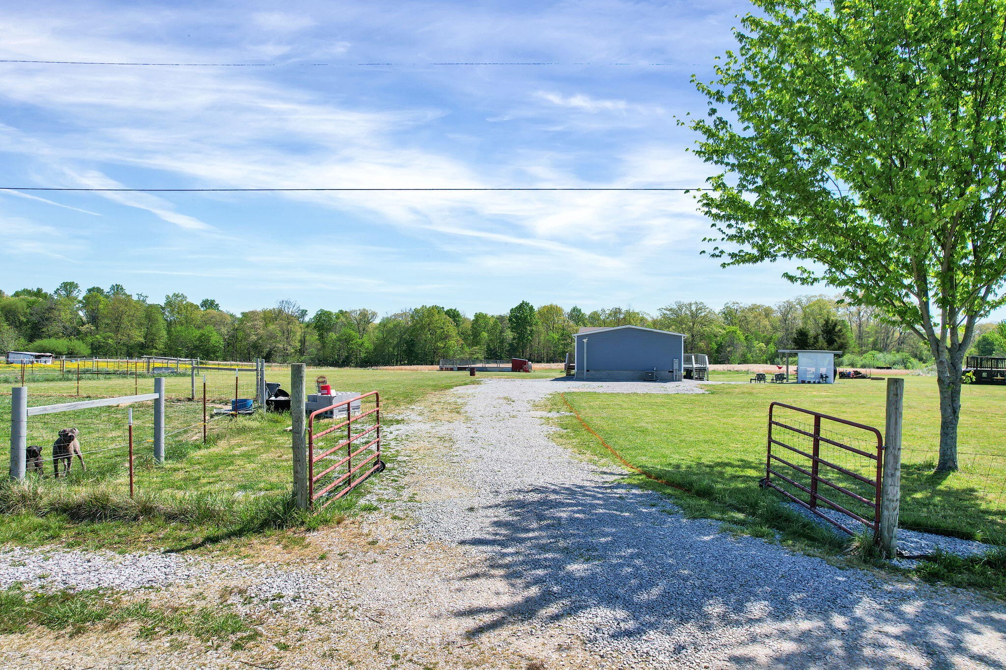 Homes for sale in Dayton, TN | 330 Blueberry Acres, Dayton, TN 37321 | MLS# 3224479