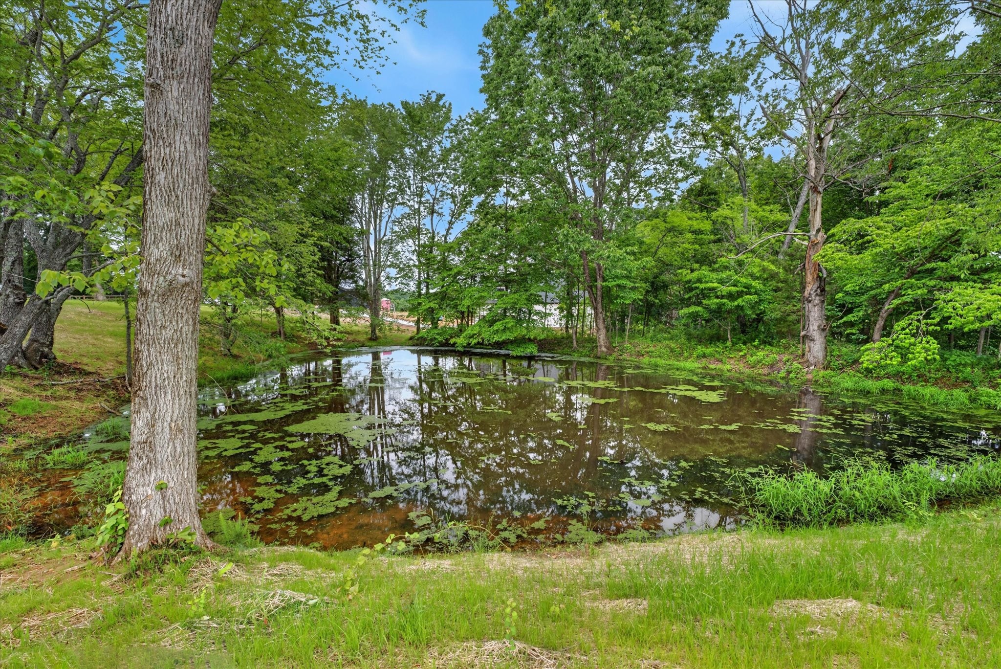 Homes for sale in Southside, TN | 209 Lewis Grant Ln, Southside, TN 37171 | MLS# 3183654