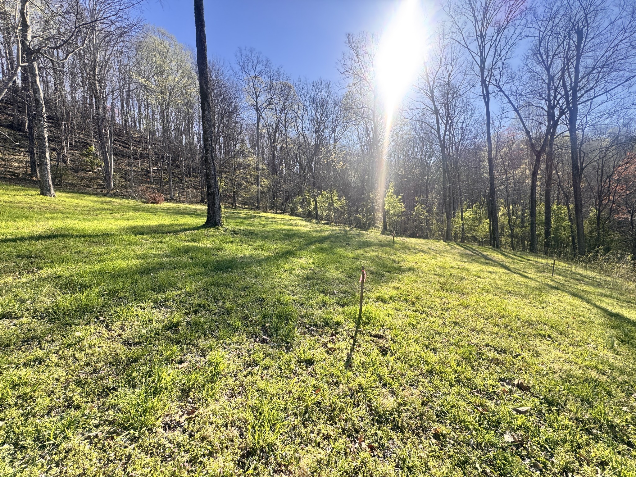 Homes for sale in Smithville, TN | 0 Lake View Dr, Smithville, TN 37166 | MLS# 3184685